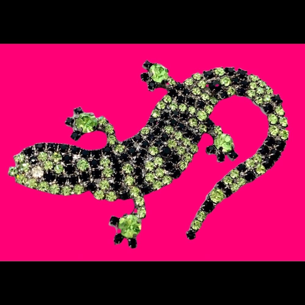 Striped Salamander Pin - Exotic Pet Reptile Brooch